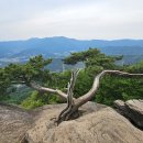 축령산휴양림 무당벌레 화장실 네이버블로그