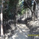 안심산 둘레길 이미지