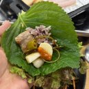 보현약국 | [청주 용암동 맛집] 청주 삼겹살 맛집 진천집 용암점, 너무 맛있게 먹고 온 솔직후기