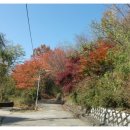 사당노인 종합복지관 이미지