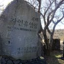 교래자연휴양림야영장 티스토리