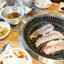 미스터 몽 이미지