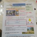일등맘 임산부 교실 후기