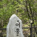 [경기/포천] 포천 글램핑 산중호걸글램핑 내돈내산 후기 인천 서울 근교 여행