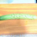 올리브샌드위치 이미지