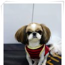 불광동물병원 이미지