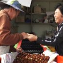 성리농장 이미지
