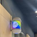 보노보노 미용실 | 성수1인미용실 동백에서 봄맞이 쿨블랙 염색!