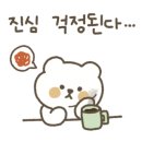 스테디잉글리쉬학원 이미지