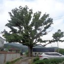 원주굽이길 5코스 버들만이길 이미지