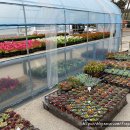 한국농약사 이미지