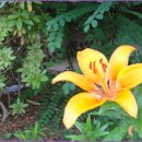 음지마을 이미지