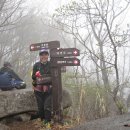 경북 대구/달성 비슬산1,084m : 불타는 붉은 꽃바다 평화공간 탄생 이미지