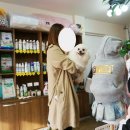 지나펫살롱 이미지