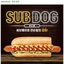 Subway 써브웨이 *썹도그* 후기 (소스, 야채, 기간한정메뉴)