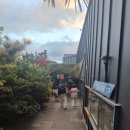 나리생곱창구이 전문점 | 제주 서귀포 신화월드 근처 가성비 갈치구이, 조림 전문점 숨비나리 신화월드점