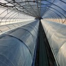 운용목장 이미지