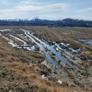 이천1리마을회관 이미지