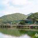 덕진-131 이미지