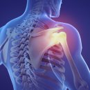 백년튼튼정형외과재활의학과의원 이미지