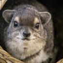 (주)자연스레 이미지