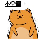 꿈냥꿈냥 이미지