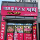 파크푸르지오씨티공인중개사사무소 | 운정 해오름마을부동산과 파크푸르지오씨티 공인중개사사무소 핵심 포인트