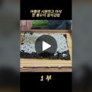 여름에 시원하고 아삭한 통오이 참치김밥 이미지