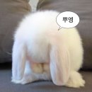 제이린안과의원 | [꼭 여기서] 부산 제이린안과│내돈내산 스마일라식│꼭 여기서 하세요★