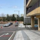 조양대원약국 이미지