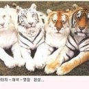 미래아구찜 이미지