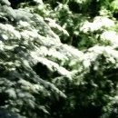 복천약수터 이미지