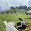 용천목장 이미지