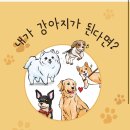 안녕, 내강아지 네이버블로그