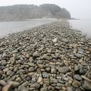 내파수도 Daum카페