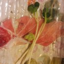 사조회참치 이미지