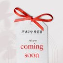 창원고양이미용 무냥무냥 이미지