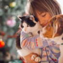 펫365동물병원 이미지