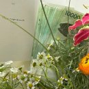 광연목장 이미지