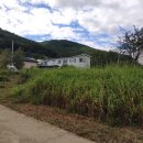 강남로2 이미지