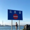 지대한 카카오 검색결과