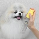 쁘띠하개 | 바이랩세럼미스트 쁘까~~츄 쁘띠의 체험후기