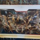 싱싱수산회직판장 이미지