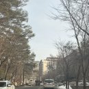 포레스트31 | [제천] 포레스트 리솜 방 배정, 뷰 좋은 31동 S30 숙소 후기