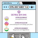 젤리즈펫 이미지