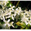 나무마당 이미지