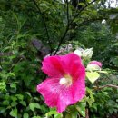 원진개쉼터 이미지