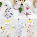 데일리랜드 이미지