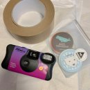 에코테리안(주) | [그리니즘 서포터즈] AIESEC in EWHA, Greenism