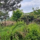 부등 농장 이미지